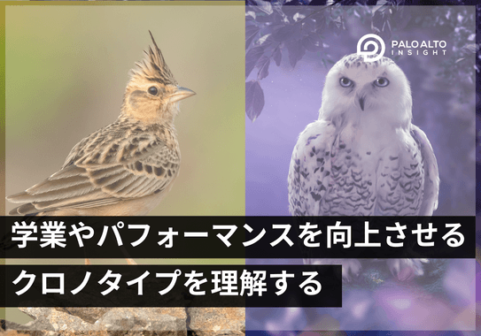 学業やパフォーマンスを向上させる「クロノタイプ」を理解する重要性
